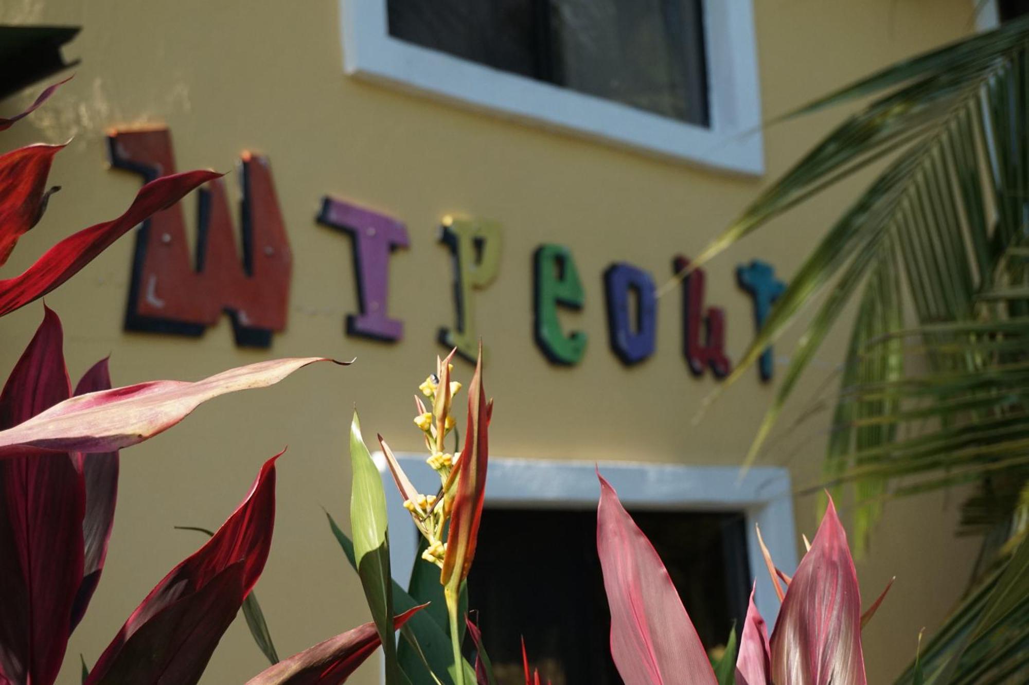 Wipeout Hostel Jaco Exterior photo